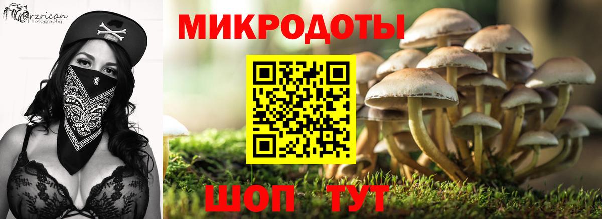 Галлюциногенные грибы мухоморы Реутов